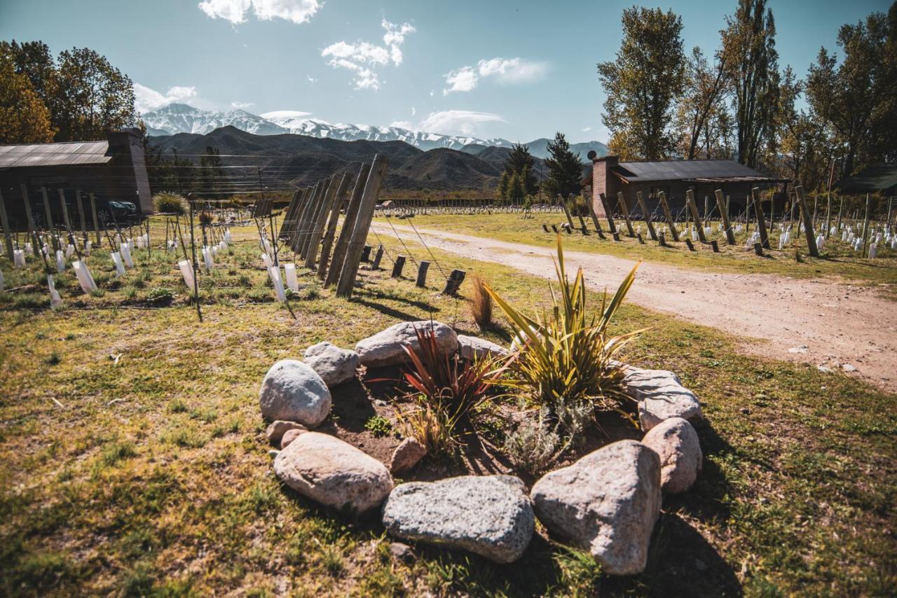 Ayres De Uco Lodge & Wine Lovers Los Arboles Luaran gambar